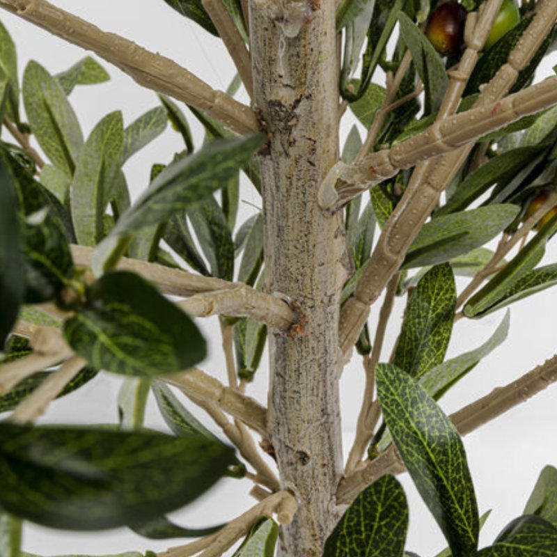 Olive Tree - Decor Olive Tree - Decor