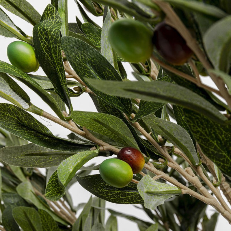 Olive Tree - Decor Olive Tree - Decor