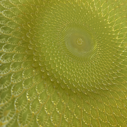 Detailed Table Top Bowl Green