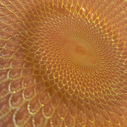 Detailed Table Top Bowl Orange