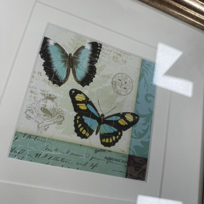 Framed Picture - Two Tone Butterflies