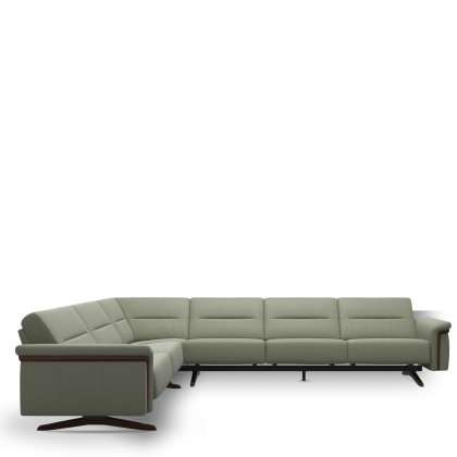 Stella w/ Wood C2.5-3