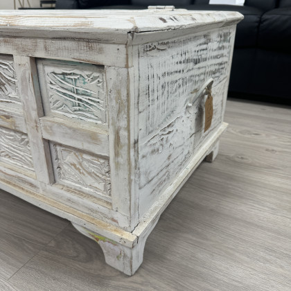 Littletree White Leaf Storage Coffee Table