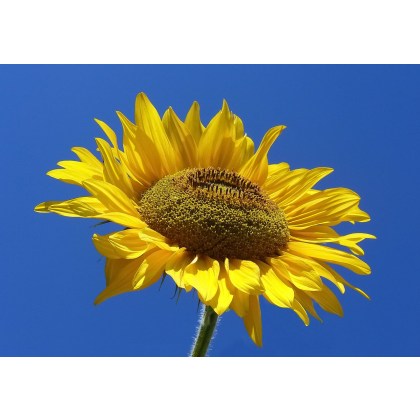 test test