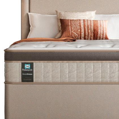 Sealy - Elevate Ultra-Lux Celebration Plush Mattress