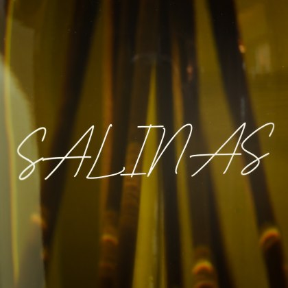Salinas - Large Reed Diffuser 500ml