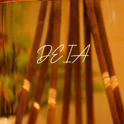 Deia - Large Reed Diffuser 500ml