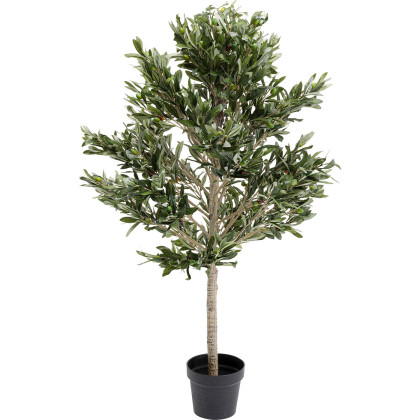 Olive Tree - Decor