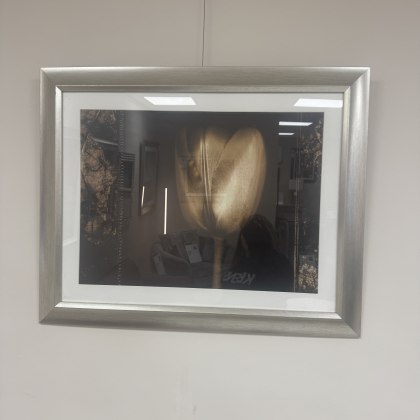 Tulip - Framed Artwork with Champagne Frame