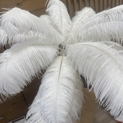 Feather Table Lamp