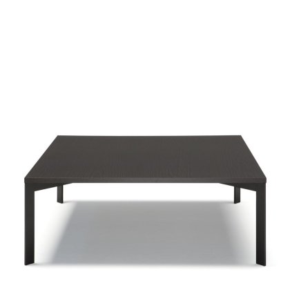 Natuzzi Editions - Wire Coffee Table - Brown Ash/Matt Brown Metal