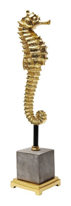 Seahorse - Object Seahorse - Object