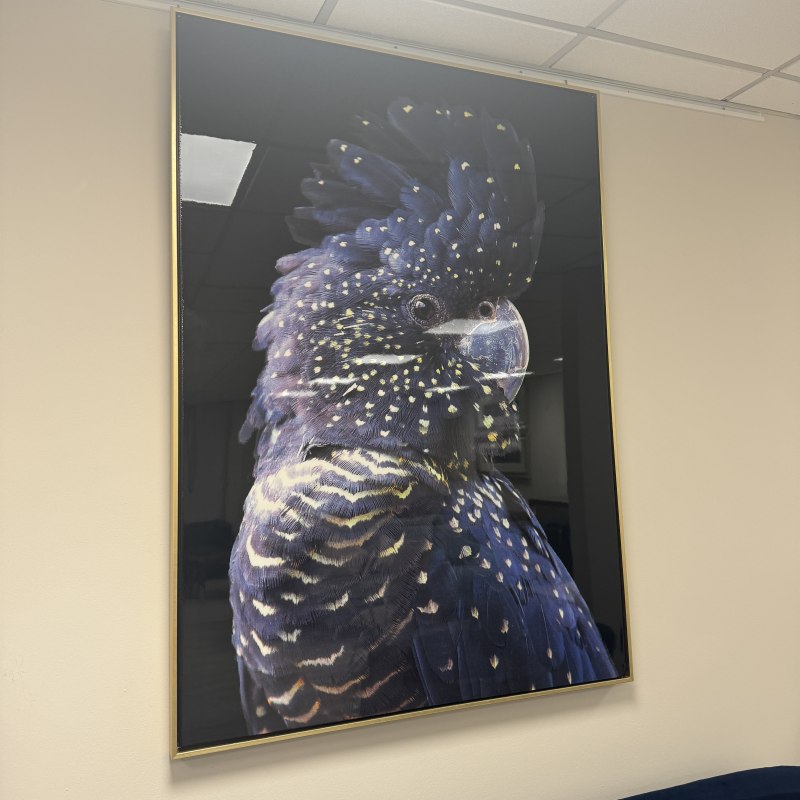 Blue Parrot - Large Artwork Blue Parrot - Large Artwork