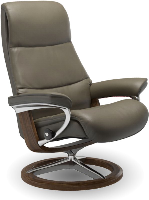 View (S) Signature Chair View (S) Signature Chair