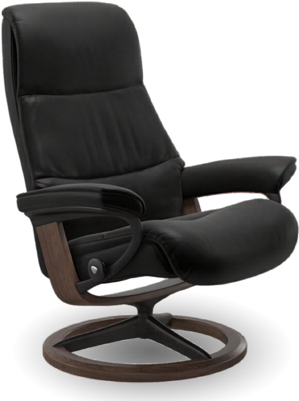 View (M) Signature Chair View (M) Signature Chair