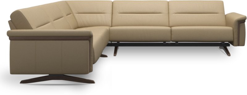 Stella w/ Wood C2.5-2.5 Stella w/ Wood C2.5-2.5