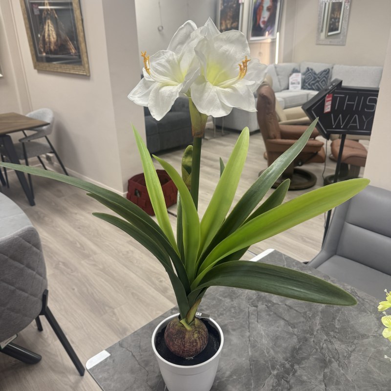Faux Plant - Amaryllis White Faux Plant - Amaryllis White