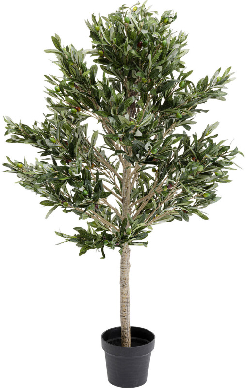 Olive Tree - Decor Olive Tree - Decor