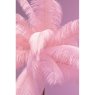 Pink Feather Palm - Floor Lamp Pink Feather Palm - Floor Lamp