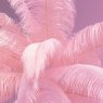 Pink Feather Palm - Floor Lamp Pink Feather Palm - Floor Lamp