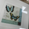 Framed Picture - Two Tone Butterflies Framed Picture - Two Tone Butterflies