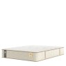 Sealy - Elevate Ultra-Lux Celebration Firm Mattress Sealy - Elevate Ultra-Lux Celebration Firm Mattress