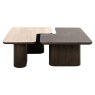 Nando - Set of 2 Coffee Tables Nando - Set of 2 Coffee Tables