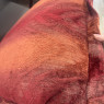 A&J Rosetti Large Feature Cushion A&J Rosetti Large Feature Cushion