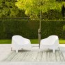 Brighton Rug - 98122-6000 Brighton Rug - 98122-6000