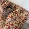 Elgar Grand Sofa & Snuggler Tetrad - Luxury Pattern Fabric Elgar Grand Sofa & Snuggler Tetrad - Luxury Pattern Fabric