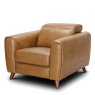 Athena - Armchair Power Recliner Athena - Armchair Power Recliner