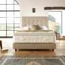 Harrison Spinks - Valiant & Enhancer Divan Bed Set Harrison Spinks - Valiant & Enhancer Divan Bed Set