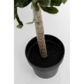Olive Tree - Decor Olive Tree - Decor