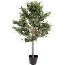 Olive Tree - Decor Olive Tree - Decor