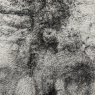 Lush Rug - Charcoal - 160 x 230cm Lush Rug - Charcoal - 160 x 230cm