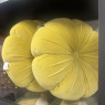 Set of 2 - Fleur Cushion - Citrus Set of 2 - Fleur Cushion - Citrus