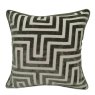 Paul Moneypenny - Amazing Sage Cushion Paul Moneypenny - Amazing Sage Cushion