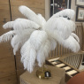 Feather Table Lamp Feather Table Lamp