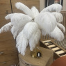Feather Table Lamp Feather Table Lamp