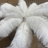 Feather Table Lamp Feather Table Lamp