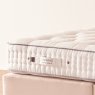 Vispring - Regal Superb - Mattress Vispring - Regal Superb - Mattress