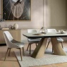Bailey - Dining Chair Bailey - Dining Chair