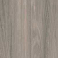 13. Ash - Light Grey