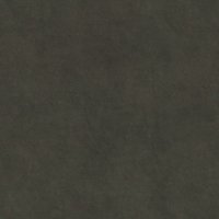 Wren Charcoal