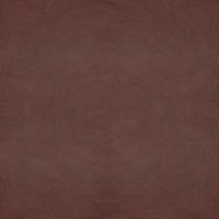 Revolution Chocolate