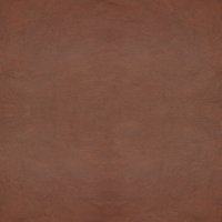 Revolution Tan