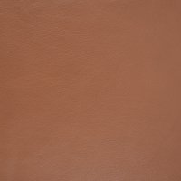 Roma Nutmeg
