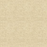 Boucle_Oyster