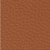 BE-531E(PECAN BROWN)