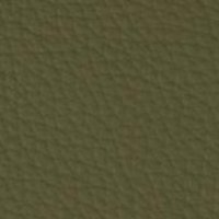 BE-532E(OLIVE GREEN)